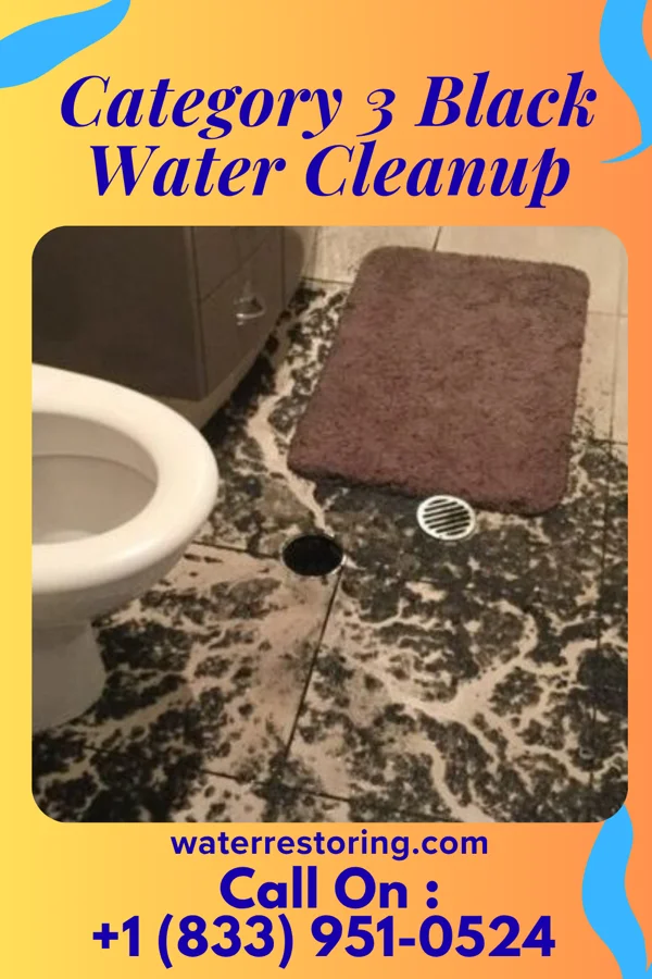 Category 3 Black Water Cleanup in Walnut Hill, TN