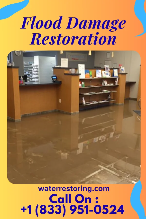 Flood Damage Restoration in Walnut Hill, TN