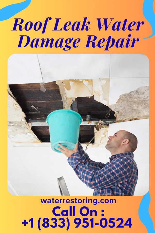 Roof Leak Water Damage Repair in Walnut Hill, TN