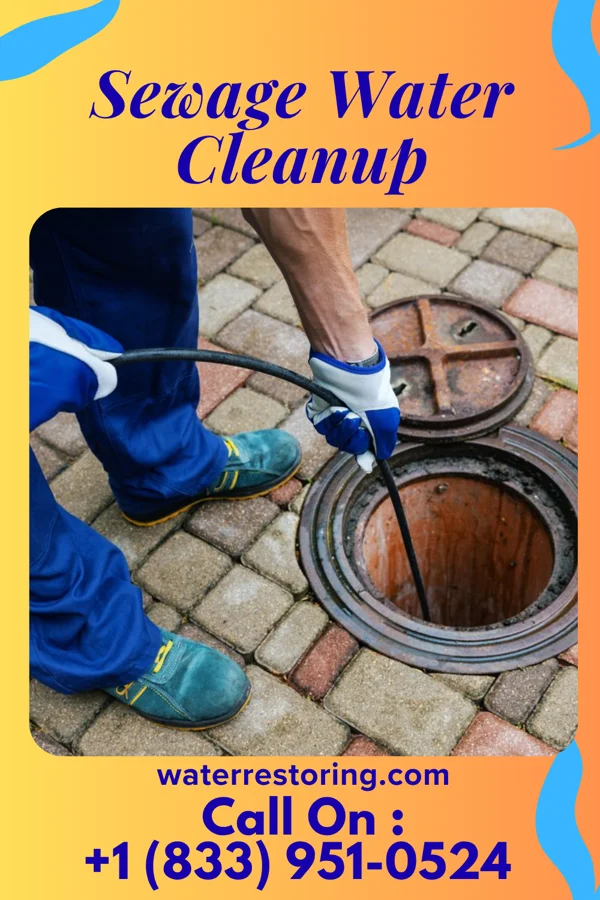 Sewage Water Cleanup in Walnut Hill, TN